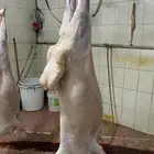 حري ذبايح ثلاجه ذبائح مناسبات يوجد صلخ وتقطيع وتوصيل