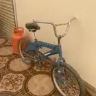 سيكل اندنوسي