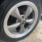 جنوط موستنج بولت