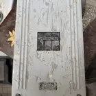 الاحساء الخبر