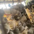 حمام فرنسي