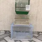 3 قفاصه