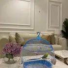 طيور الحب طيور جوزين