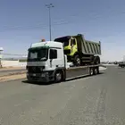 لوبد مكره مسقس