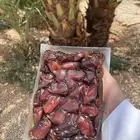 تمر كراتين أخلاص فاخر