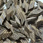 عود تايقر كمبودي