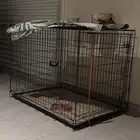 قفص حجم كبير للقطط او الكلاب الصغيرة