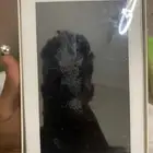 iPod