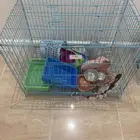 قفص قطوه