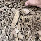 عود موروكي دبل قديم
