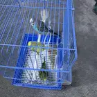 للبيع عاشق ومعشوق