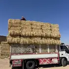 تبن بر صافي