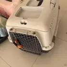 أغراض قطط كاملة