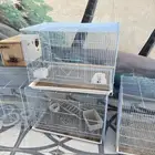 شبوك 601 انتاج