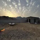 مكان غنم طيور