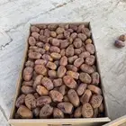 تمر خلاص القصيم فاخر