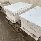 خلايا نحل لانجستروث بنحلها