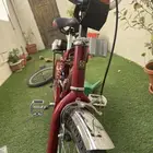 سيكل رامبو عنابي اصلي مقاس 20