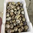 بيض سمان