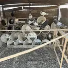 حمام قطايف بكستاني