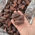 خضري خام فاخر اغلبه حبه كبير ووسط ومبروم