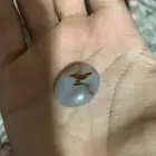 خاتم عقيق