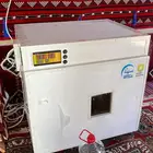 فقاسه