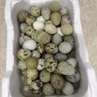 بيض سمان ثلاث أطباق