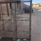 للبيع شبك دجاج او حمام او رقاد