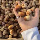 جسبة حمراء وصفراء فدره