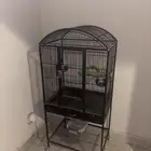قفص ببغاء للبيع