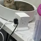 للتبني انثى سكوتش