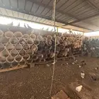 عشة حمام للبيع