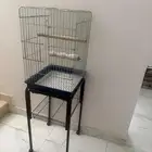قفص   استاند كاسكو   او اي ببغاء
