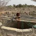 للبيع