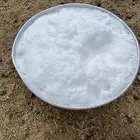 حليب غنم طازج يوميا