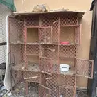 للبيع شبوك دجاج وحمام