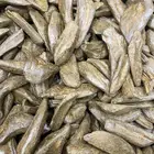 عود مروكي فاخر طبيعي محسن