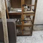 محكر للبيع