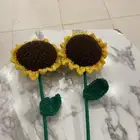 ورد للبيع