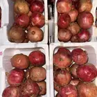 رمان مليداء