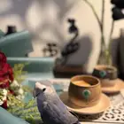 روز اليف ابغى فيه 300