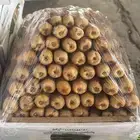 نوادر القصيم