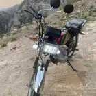 دباب سويدي للبيع