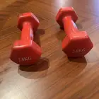 دانبل