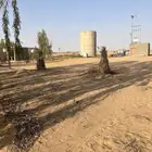 مزرعة للايجار