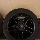 جنوط موستنج 2019