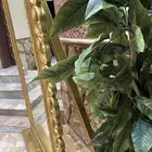 مرايا استقبال