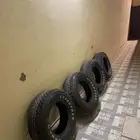 دنلوب 16 تاريخ نهايه 2024 جدد