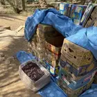 للبيع 40 كرتون موز تمر خضري حبه وسط